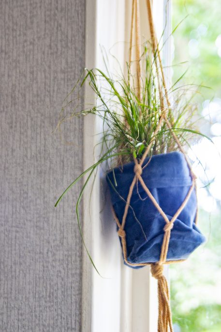 THOLS wonen | planten